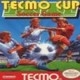 Tecmo Cup Socc…