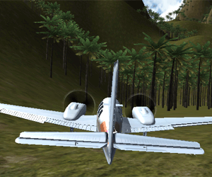 play 3D Flight Sim