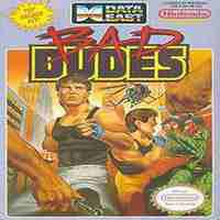 Bad Dudes