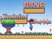 Ninja Training…