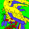 play Old parrot coloring