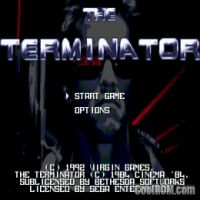 play Terminator