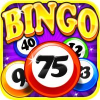 play Bingo Social