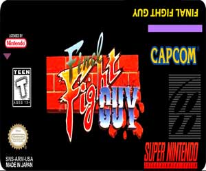 Final Fight Guy Snes Online