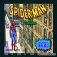 Spider-Man: The Videogame