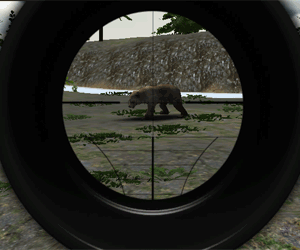 Animal Hunter 3D